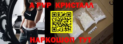 прущие грибы Кандалакша