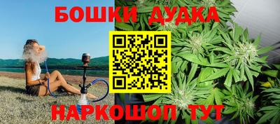 прущие грибы Кандалакша