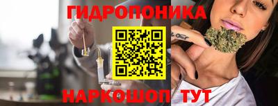 прущие грибы Канаш