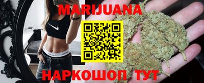 прущие грибы Канаш