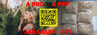 прущие грибы Кандалакша