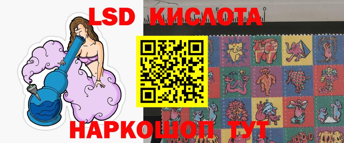 Псилоцибиновые грибы Ирбит