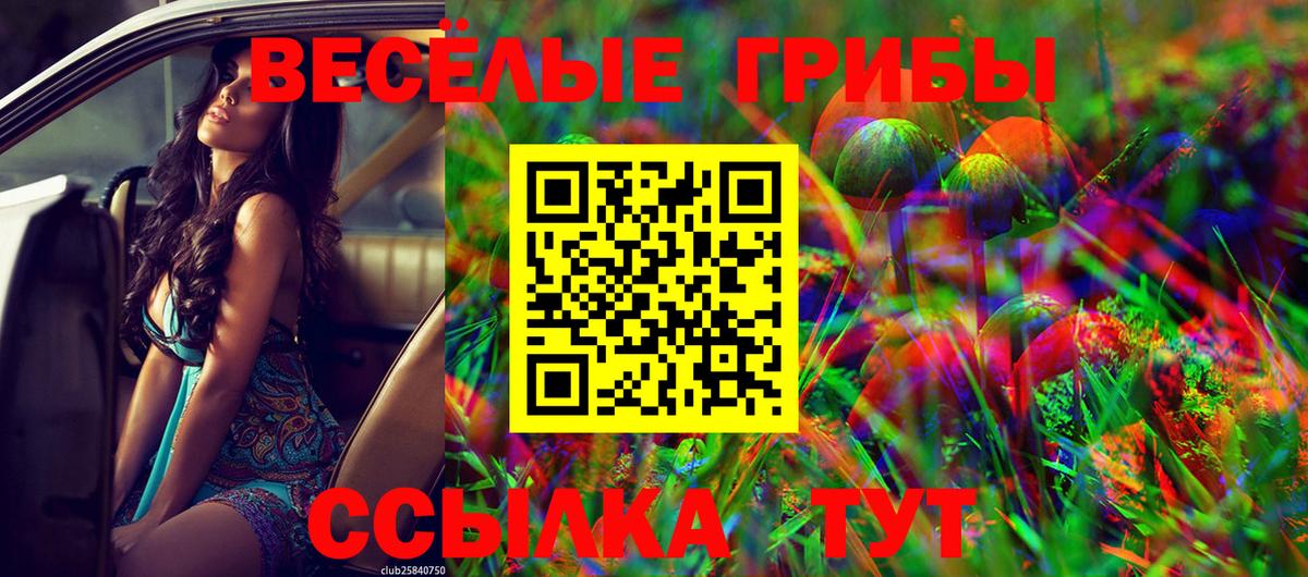 MDMA  Ирбит  Цена  МЕТАМФЕТАМИН  Кодеин  Гашиш  КОКАИН  Меф МЯУ МЯУ кристаллы  Вход с VPN  Конопля 