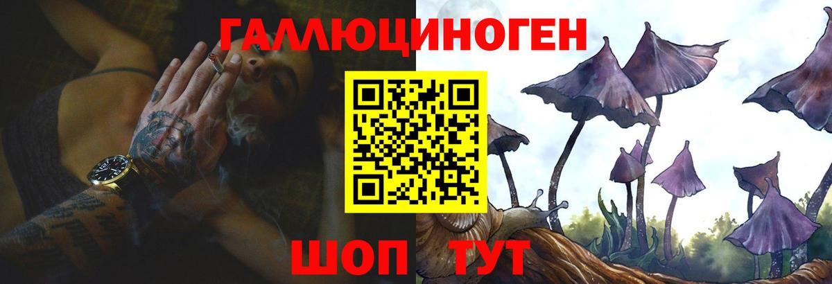 Галлюциногенные грибы Psilocybe  купить  сайты  Ирбит  Вход с VPN  Псилоцибиновые грибы мицелий 